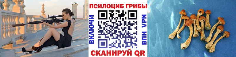 Псилоцибиновые грибы ЛСД  mega ТОР  Задонск  купить закладку 
